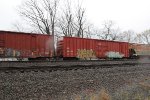 IBT 19508